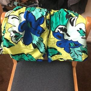 Chubbies swim trunks